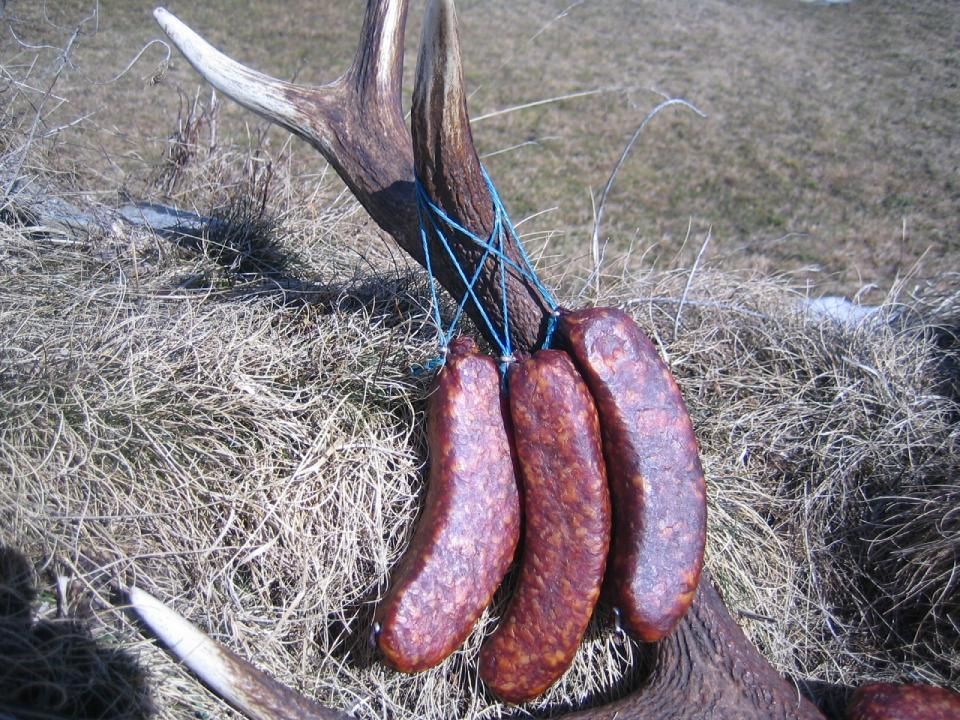 Drei Würste auf Horn eines Tieres platziert, Spezialitäten-Metzg Splügen, Strub Orlando