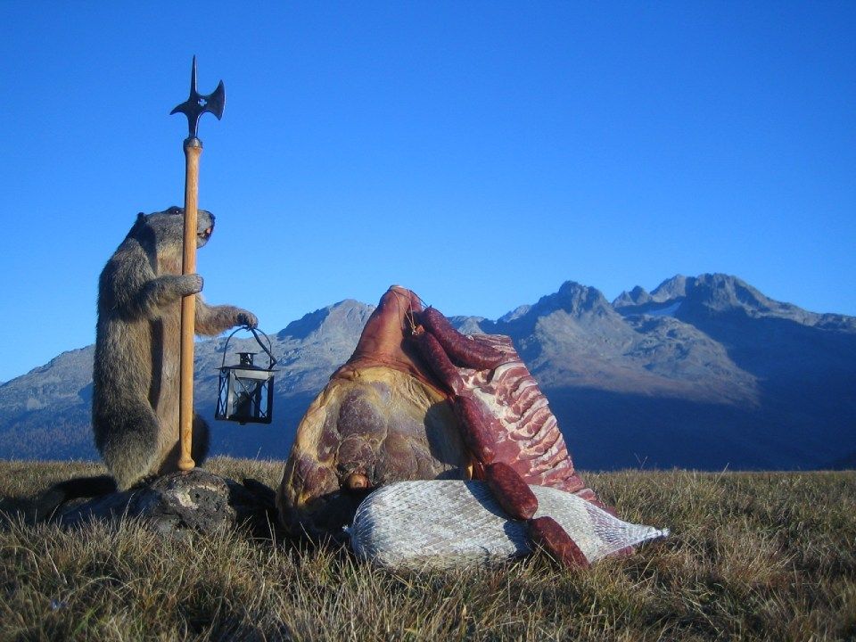 Murmeltier mit Fleischstücken vor Bergkulisse, Mitarbeiter bei der Wurstproduktion, Spezialitäten-Metzg Splügen, Strub Orlando