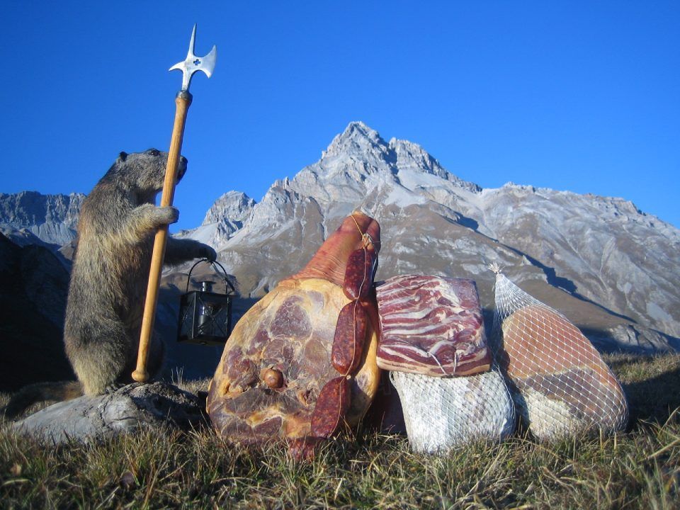 Murmeltier mit Fleischstücken auf der Alm, Mitarbeiter bei der Wurstproduktion, Spezialitäten-Metzg Splügen, Strub Orlando