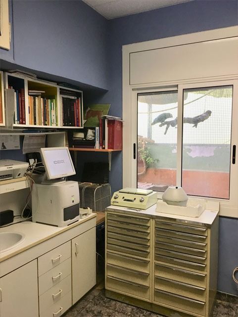 Una habitación con una ventana grande y una computadora en el mostrador.