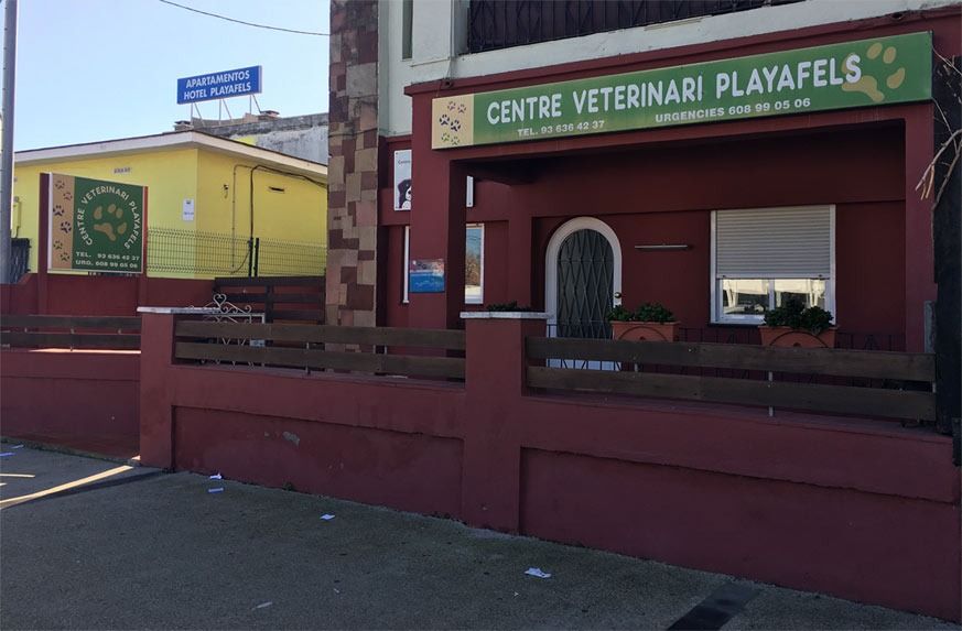 Un edificio con un cartel que dice Centro Veterinario Playafels