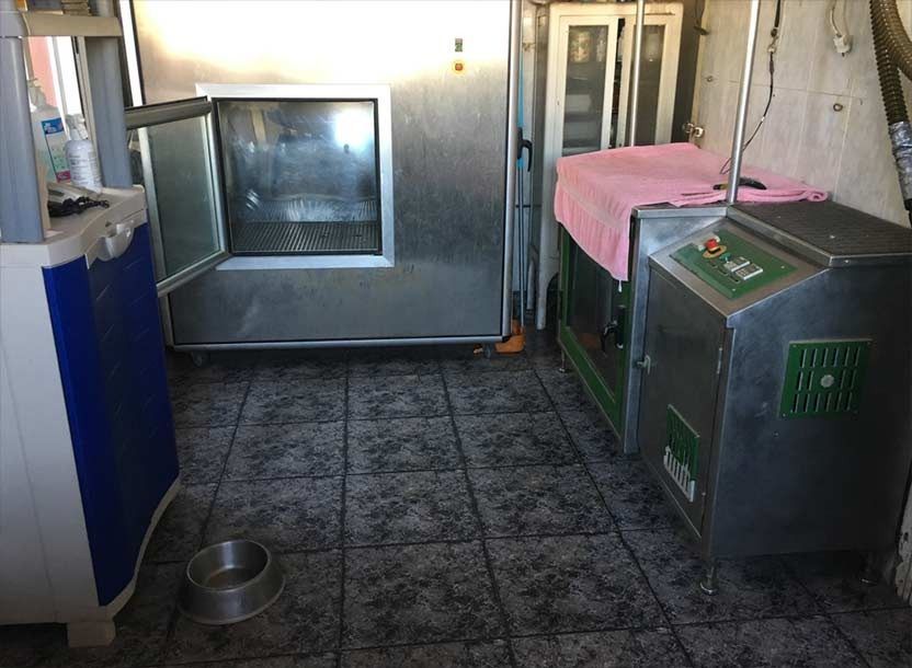 Un cuenco para perros está en el suelo de una cocina.
