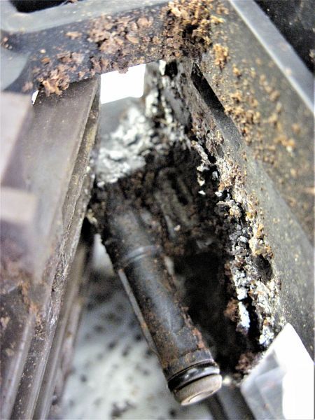 Günstige Reparaturen in Flawil und St. Gallen