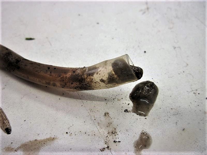 Günstige Reparaturen in Flawil und St. Gallen