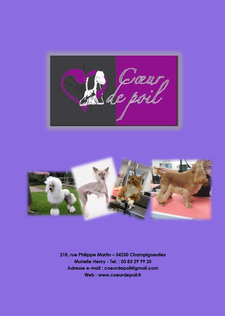 Plaquette de formation : introduction