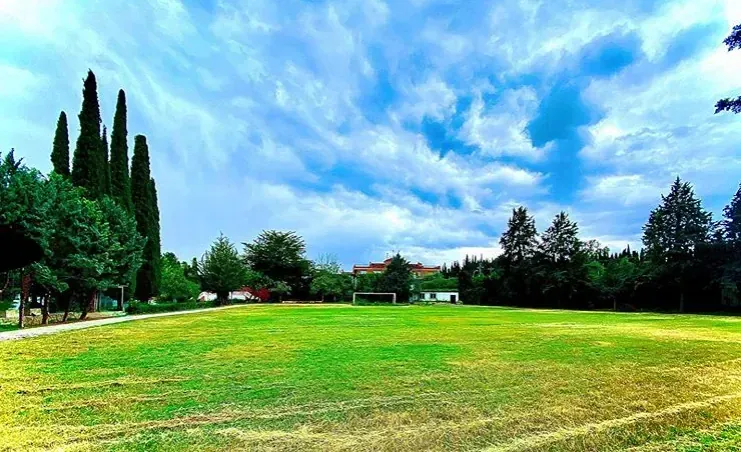 Amplio parque cubierto de hierba bajo un cielo azul brillante, con árboles altos a la izquierda y al fondo.