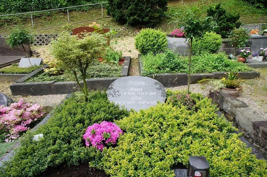 Ein Friedhof voller Pflanzen und Blumen