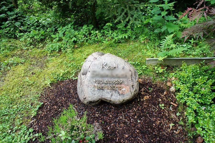 Ein großer Felsen liegt inmitten eines üppigen grünen Waldes.