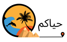 Logo featuring a sunset, and dolphin.