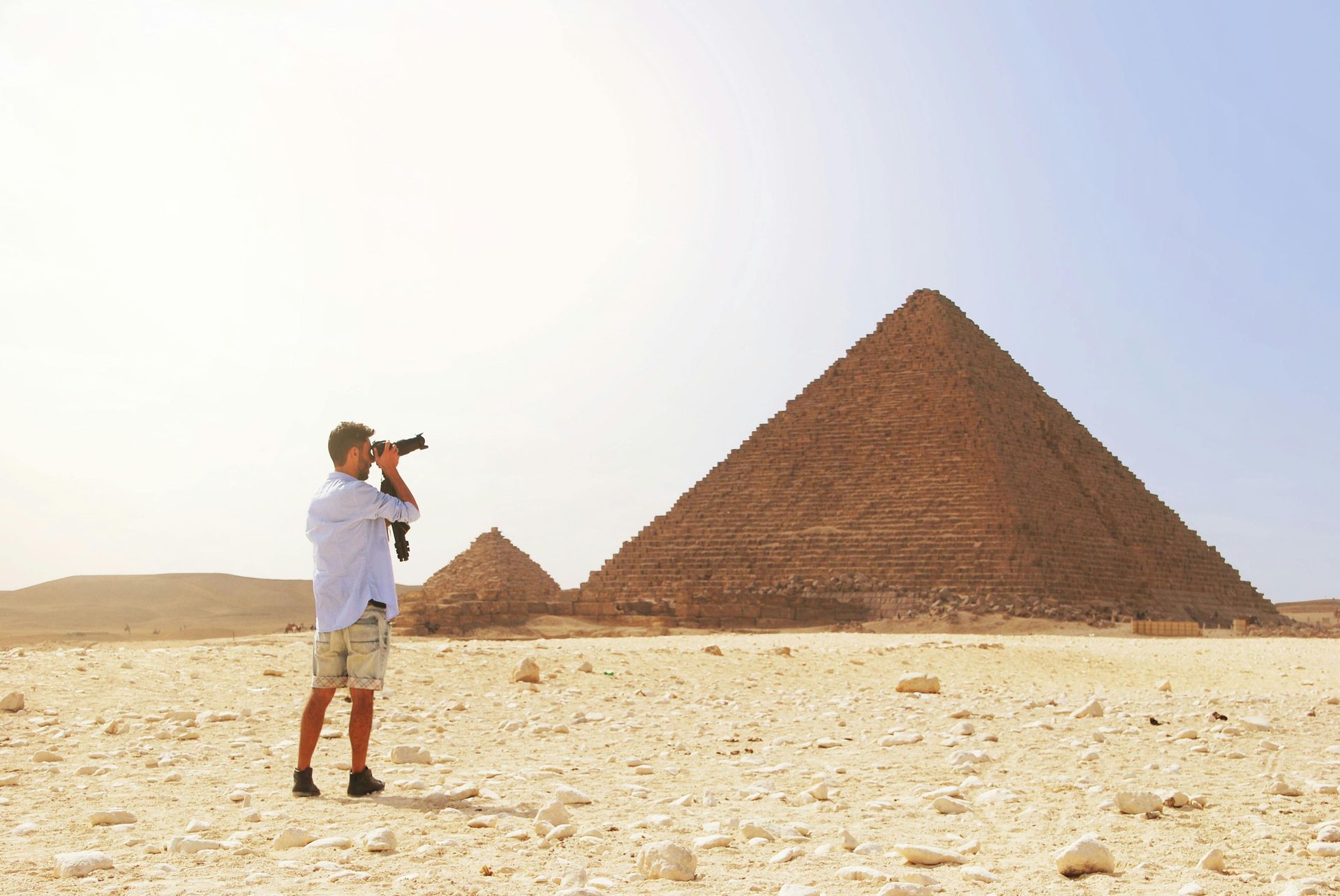 تمثال رائع لفرعون مصري، يتمتع بتعبير هادئ وتاج مميز.