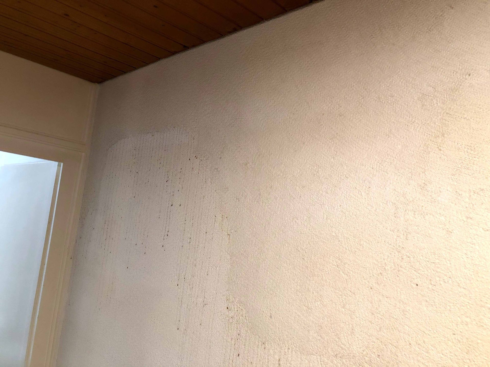 Behandlung Raucherwohnung