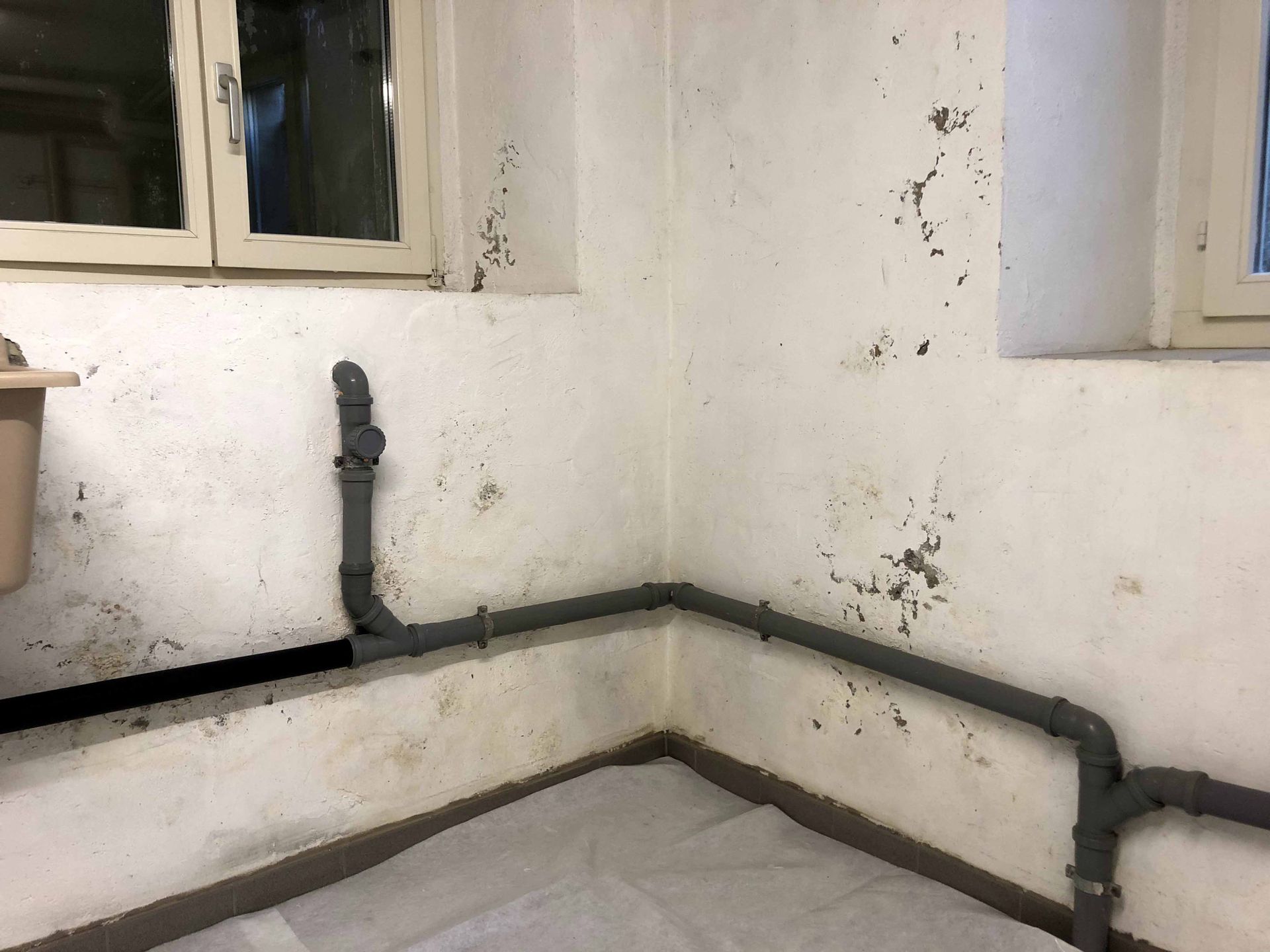 Kellerraum vorher Rorschach