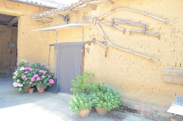 Pared de estuco amarillo con vigas de madera y dos macetas con plantas con flores junto a una puerta.