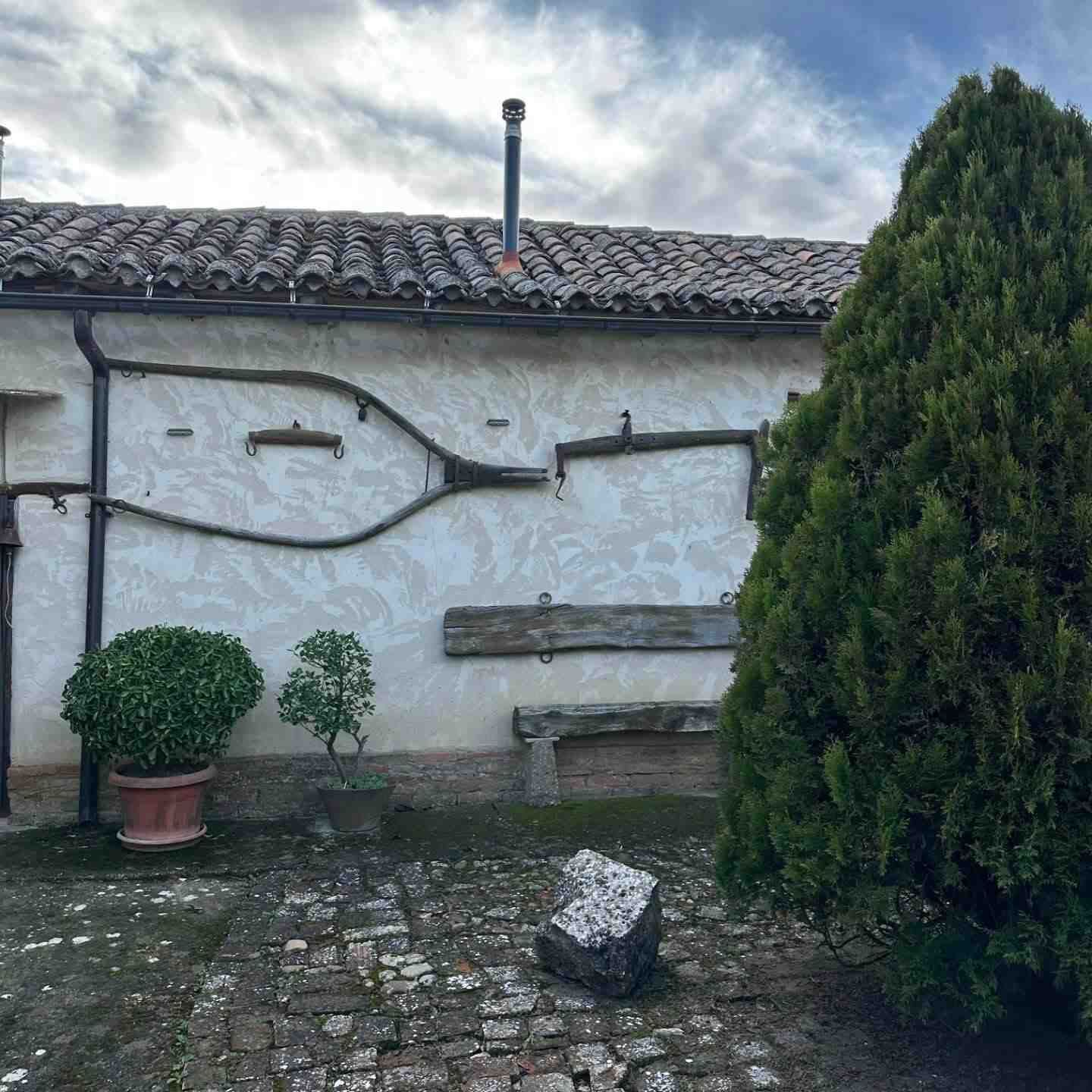 Pared rústica encalada con vigas de madera, arbustos en macetas y un patio empedrado bajo un cielo nublado.
