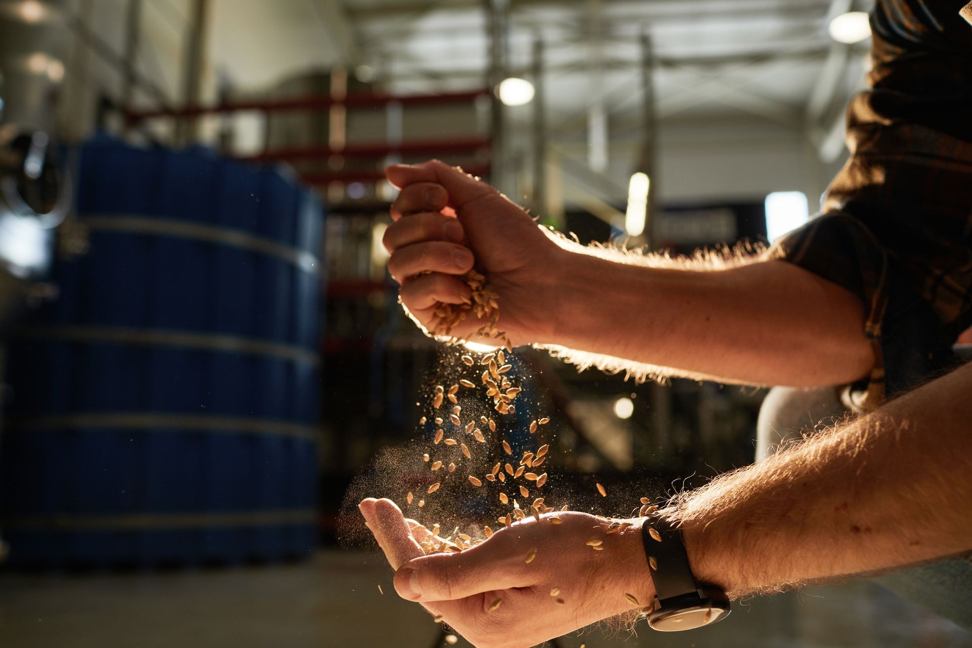 Des mains qui saupoudrent des grains dorés dans un entrepôt industriel sombre