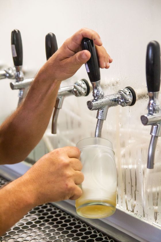 Une main remplit une chope en verre de bière à la tireuse chromée, dans un bar ou une brasserie