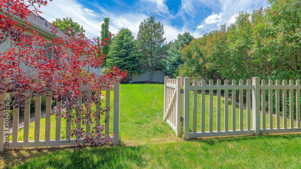 Clôture avec porte en bois