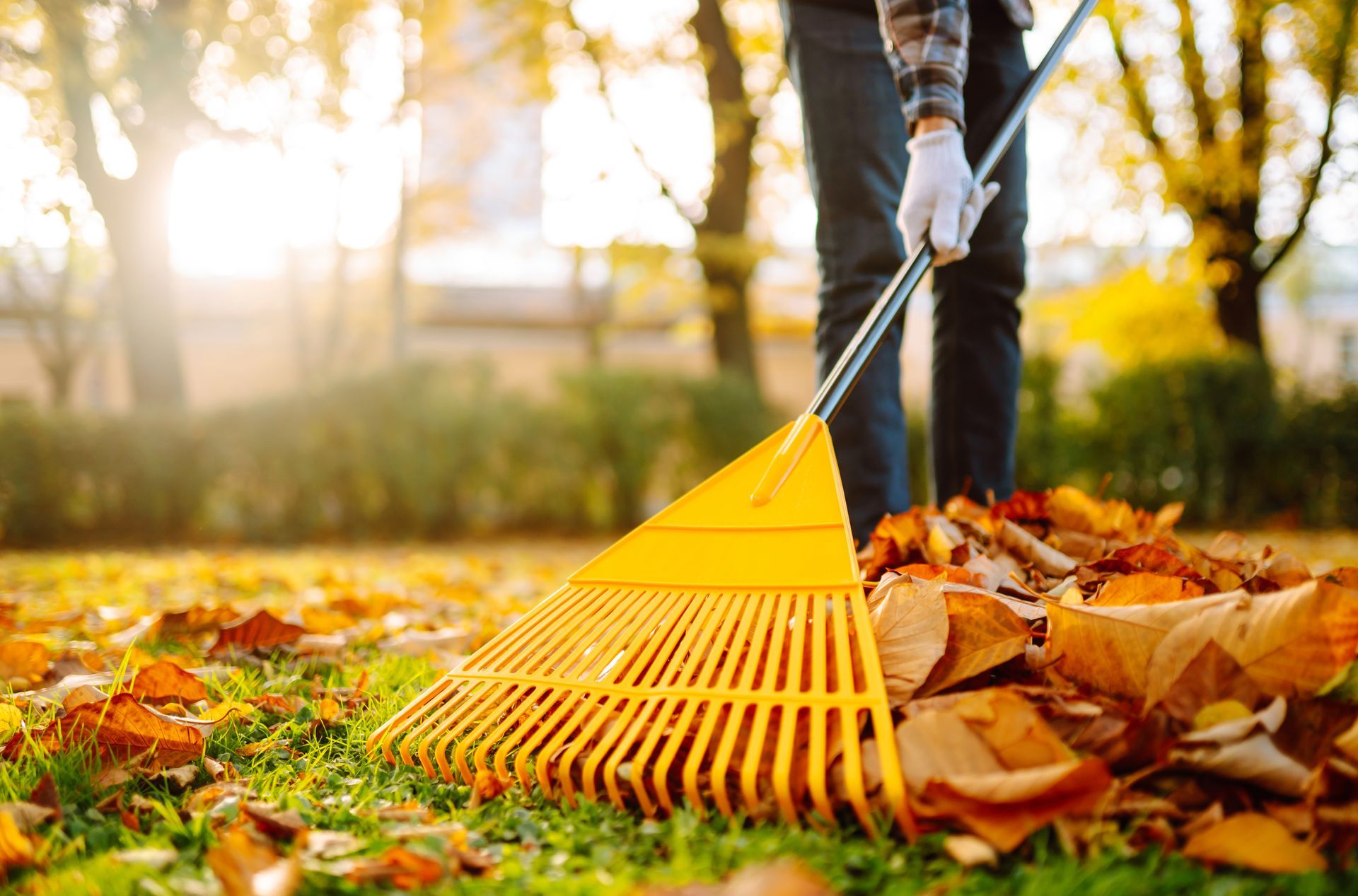 Paysagiste qui ramasse les feuilles mortes