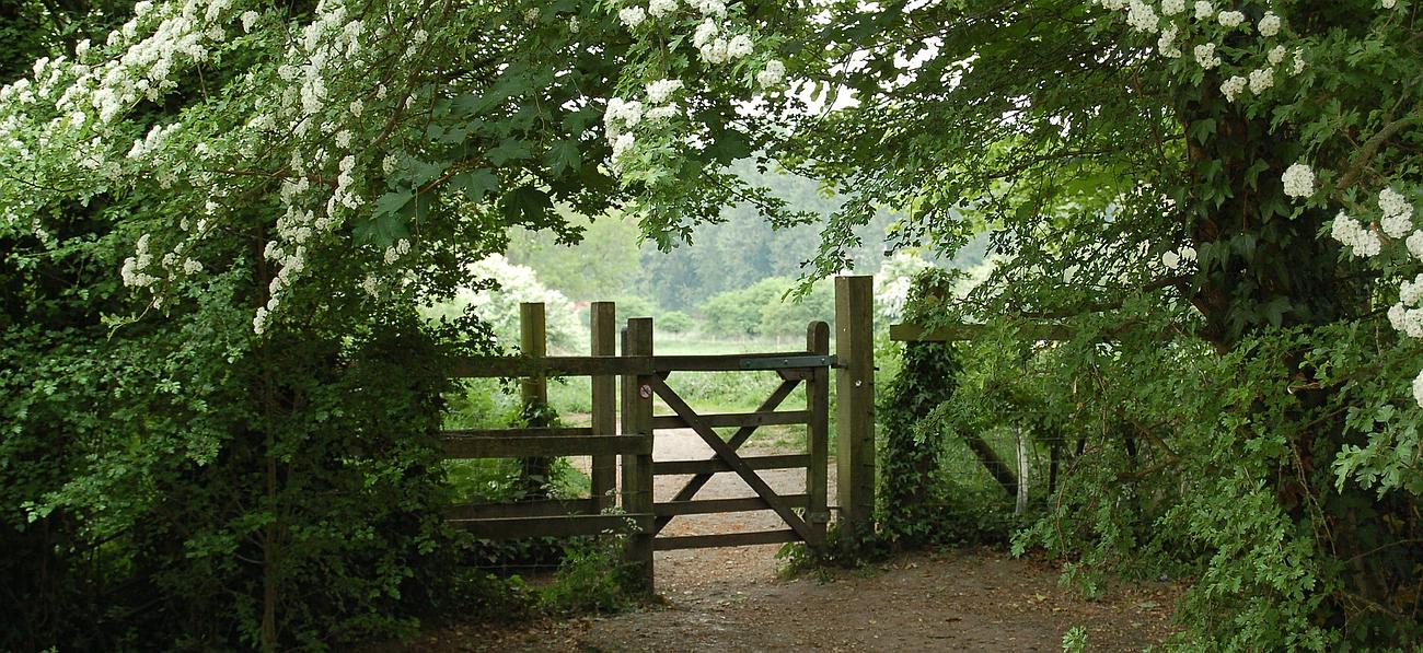 Portail en bois sur un chemin, encadré par une végétation luxuriante et des fleurs blanches.