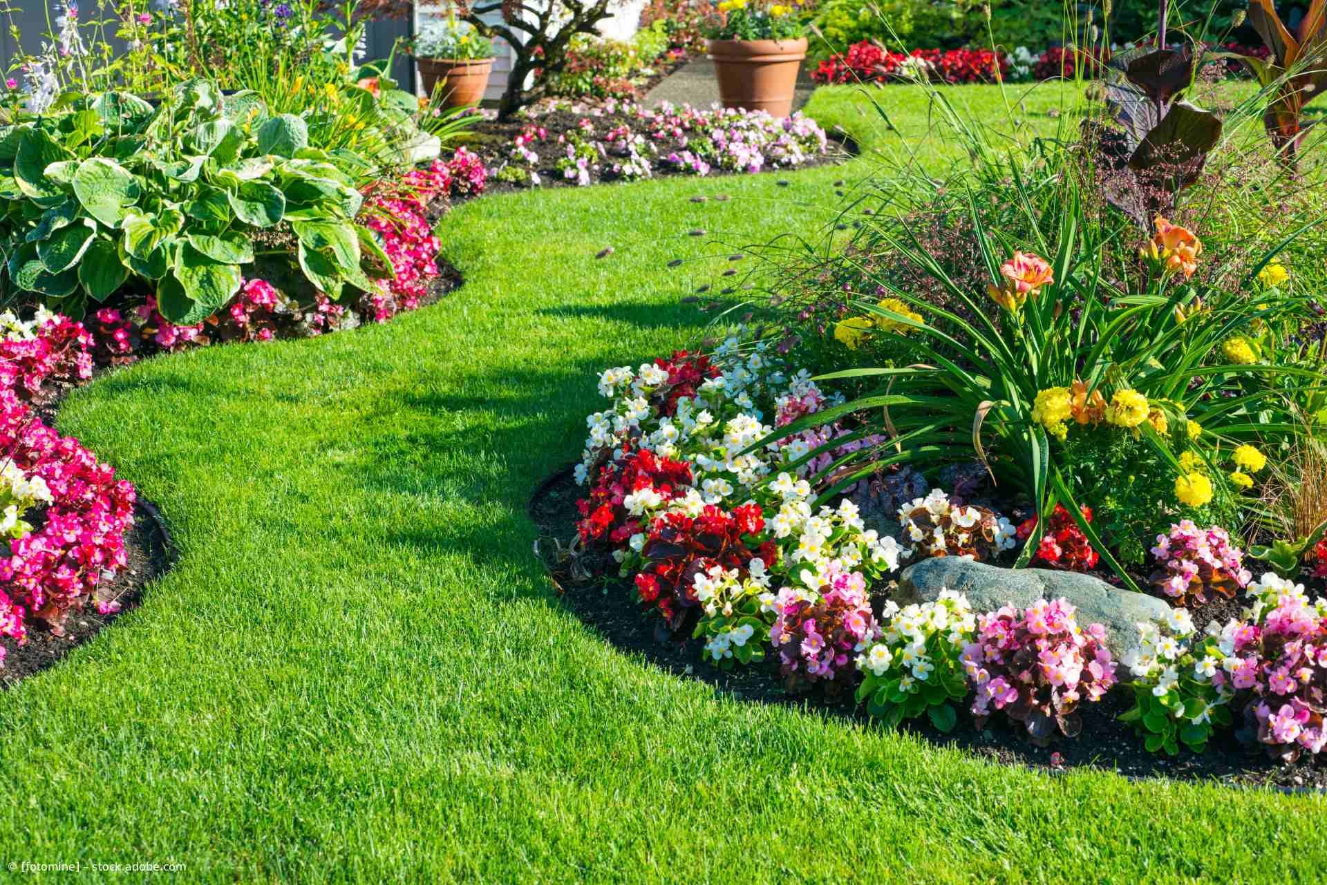 Ein üppig grüner Rasen mit geschwungenen Blumenbeeten voller farbenprächtiger Blüten.