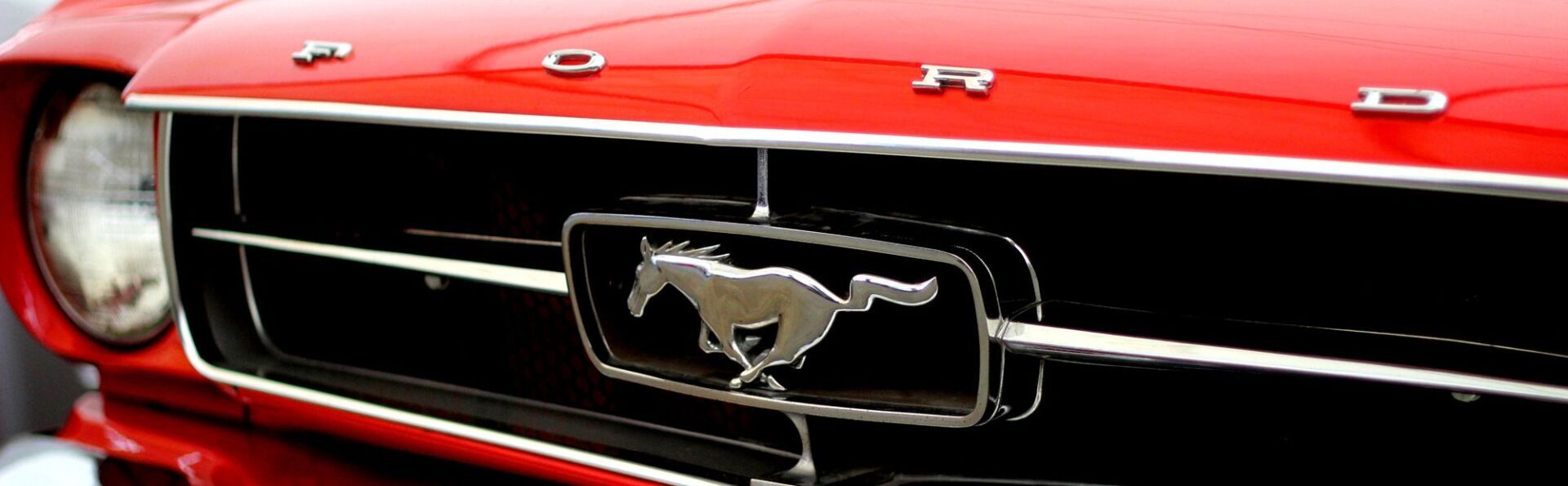 David Motorentechnik Selm Titelbild Mustang