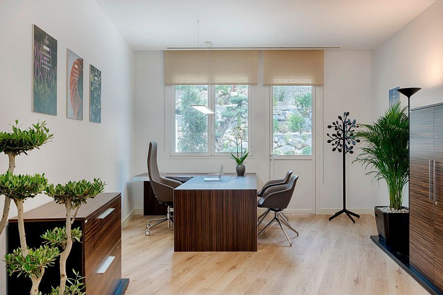 Una habitación con un escritorio, sillas y plantas.