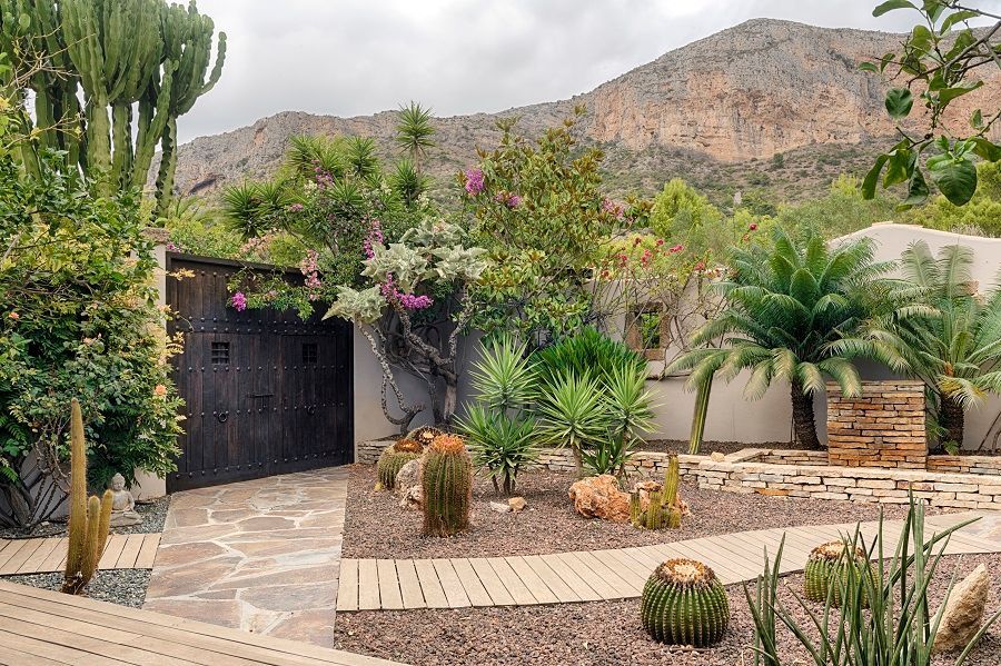 Un exuberante jardín verde con cactus y flores frente a una casa con montañas al fondo.