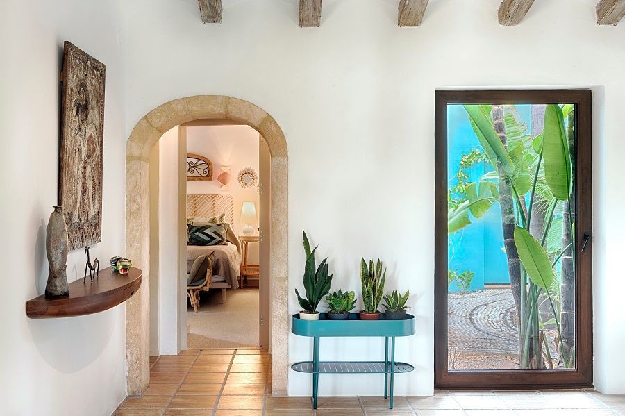 Hay una mesa con plantas en el medio de la habitación.