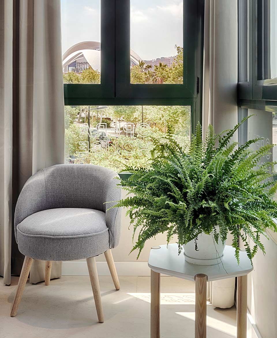 Una silla y una mesa con una planta en maceta frente a una ventana.