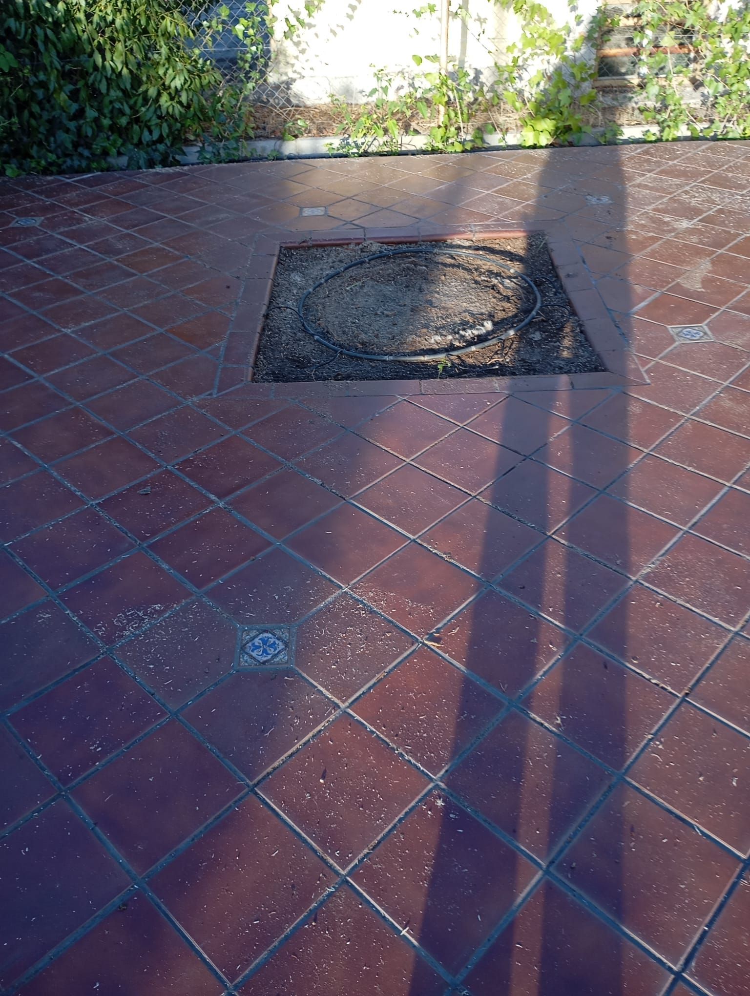 Patio de baldosas rojas con acceso abierto a los servicios públicos; sombra larga proyectada sobre el suelo.