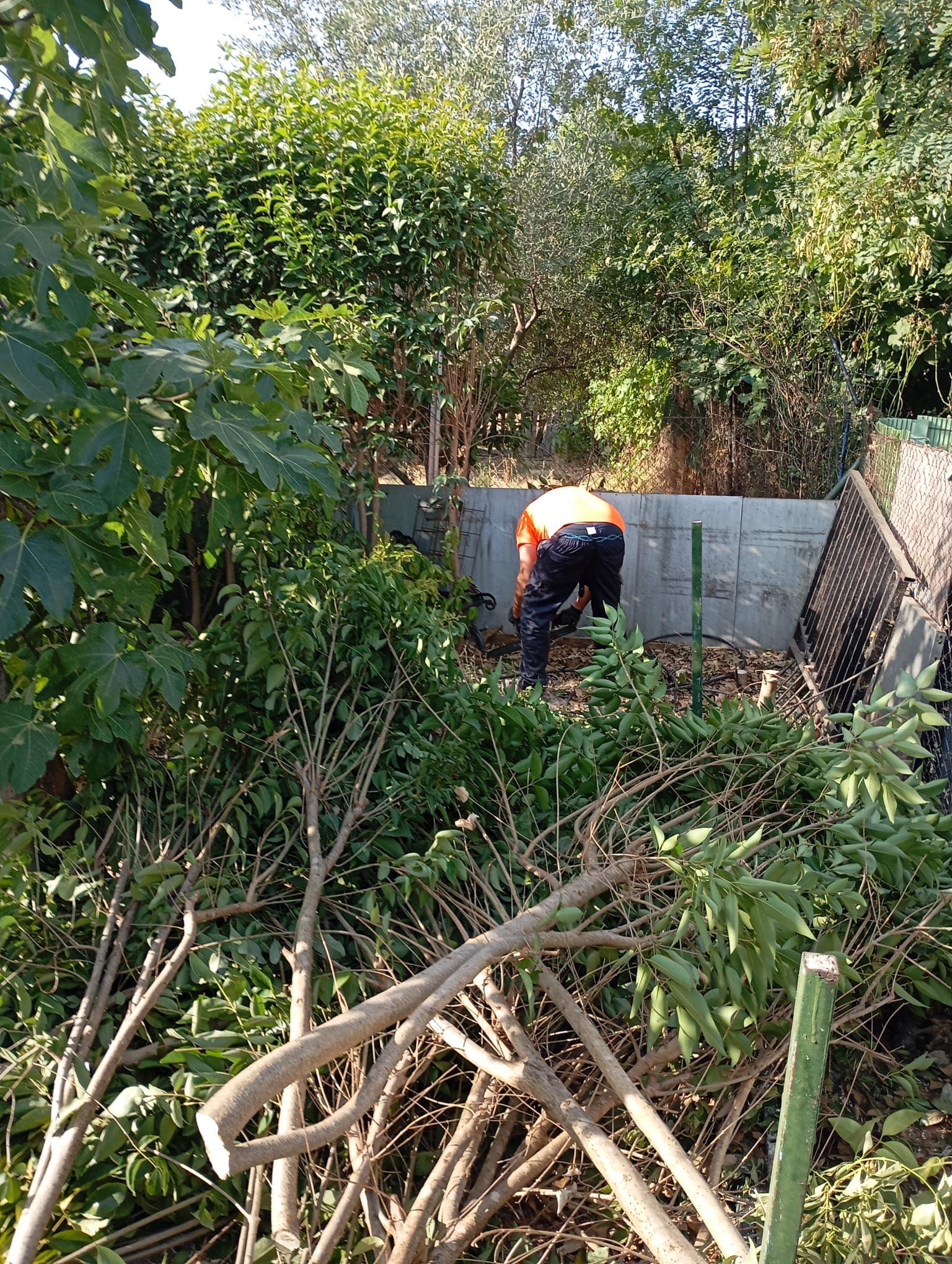 Persona con chaleco naranja y pantalón oscuro, limpiando maleza en una zona boscosa con una estructura de hormigón y metal al fondo.