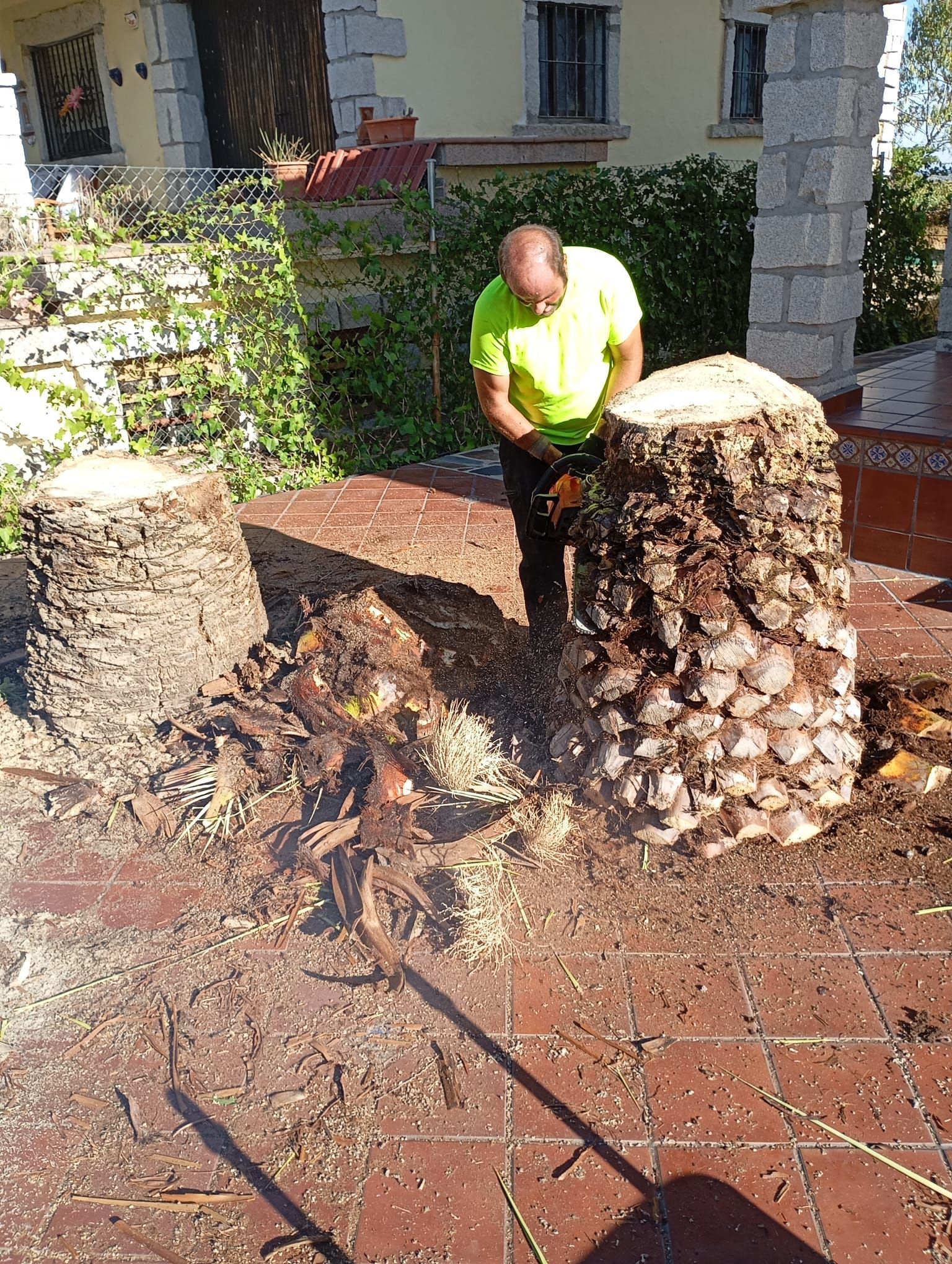 Un hombre con camisa de neón corta un tocón de palmera en un patio de baldosas frente a una casa.