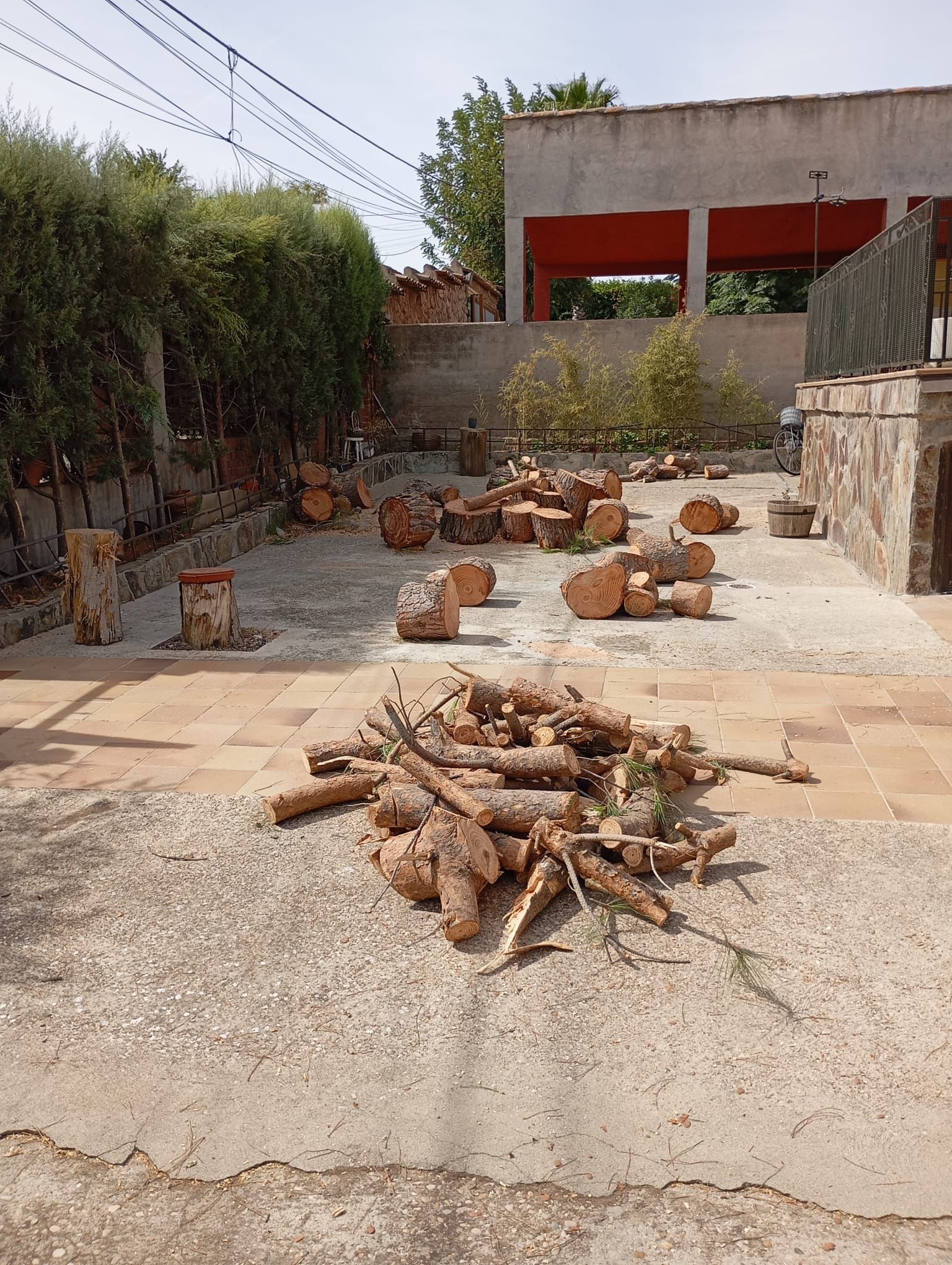 Troncos de leña cortados en una zona pavimentada con un edificio al fondo.