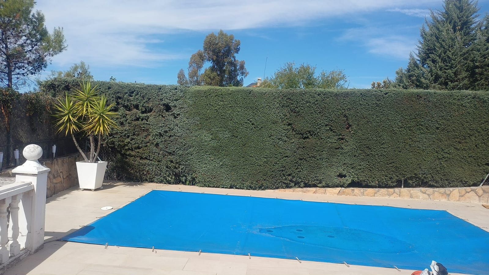 Cubierta de piscina azul, patio de piedra, seto verde, árboles y un cielo azul brillante.