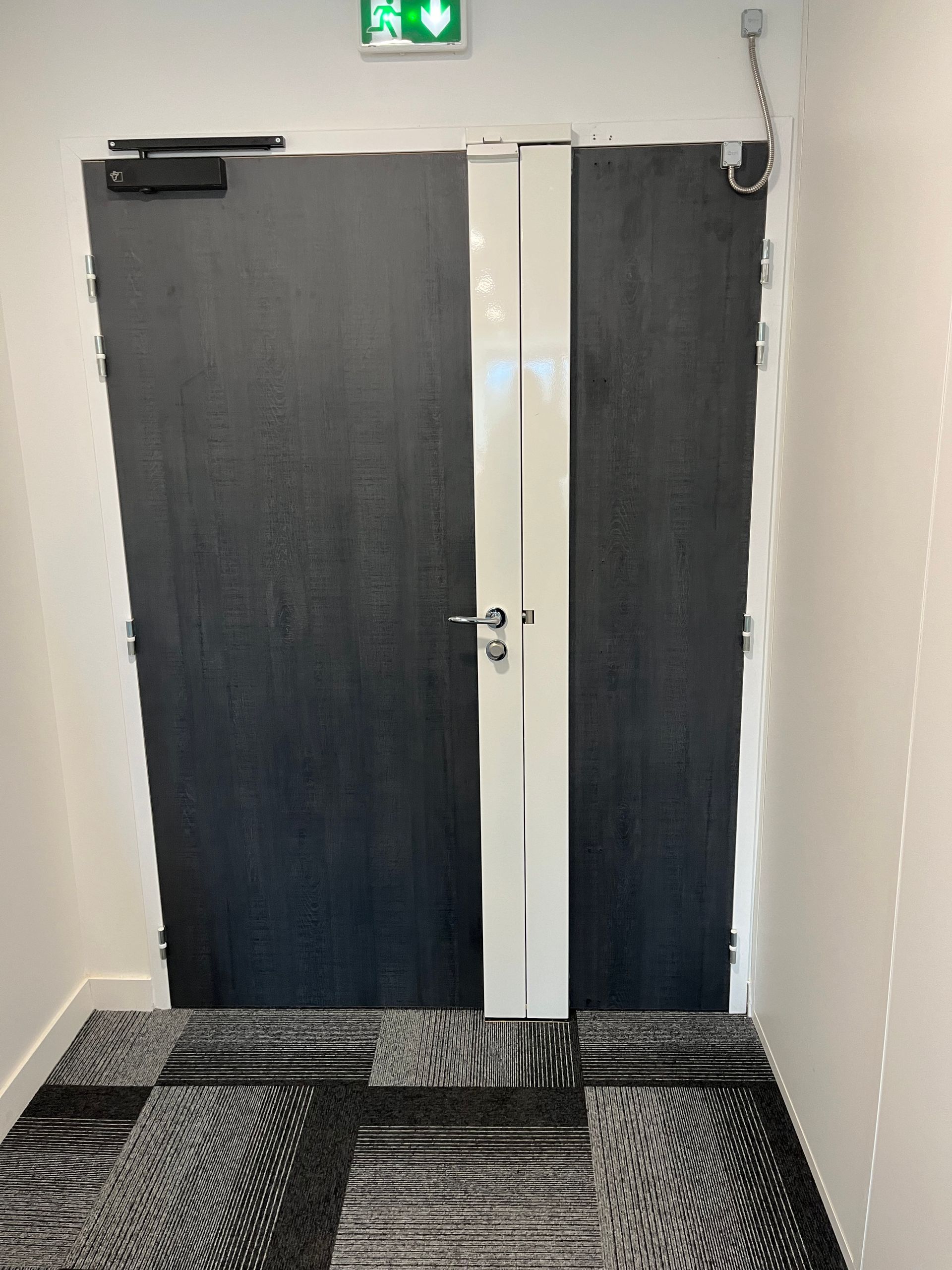Double porte sombre avec une bande blanche au milieu, panneau de sortie au-dessus, dans un couloir recouvert de moquette à motifs.