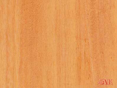 Eine Nahaufnahme eines Holzstücks, auf der Maserung und Struktur zu sehen sind.