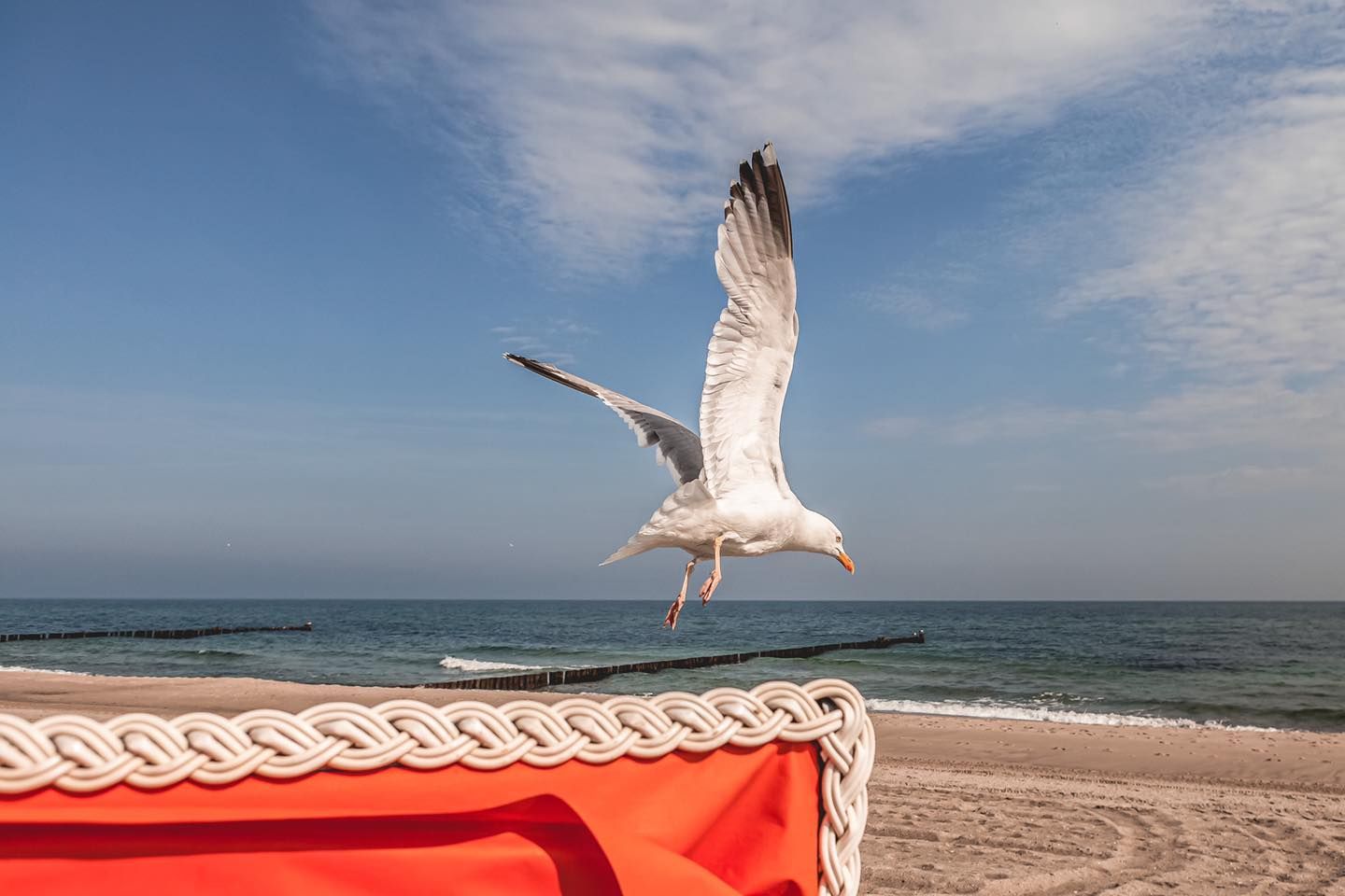 Eine Möwe im Flug über einem Strand, im Vordergrund ein leuchtend orangefarbenes Strandstuhldach vor blauem Himmel.