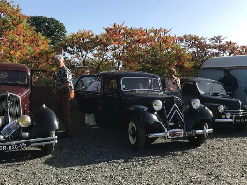 Trois voitures anciennes garées sur du gravier.