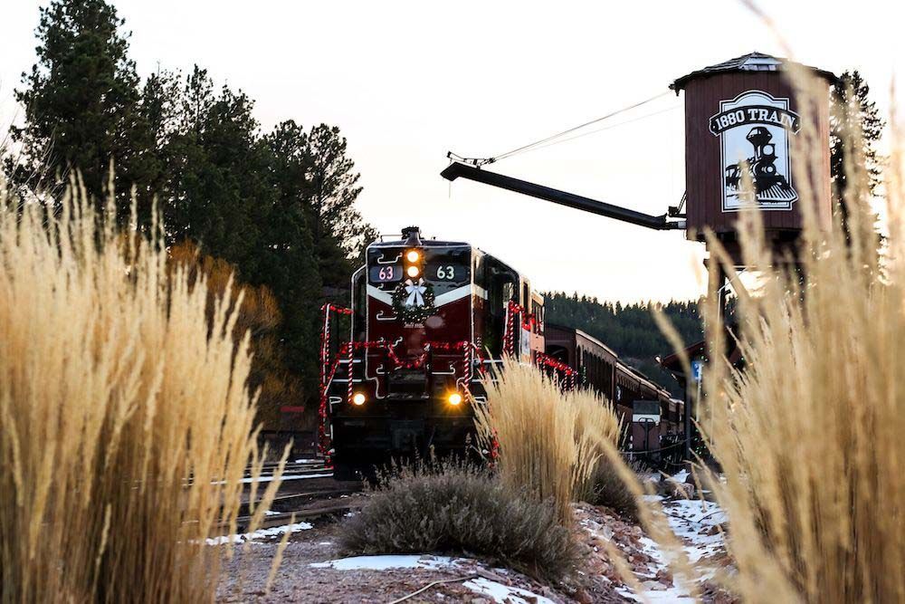 Train passing through on the tracks with view behind tall grass