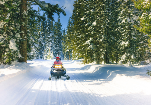 ATV driving through the snow with surrounding pine trees in the Black Hills