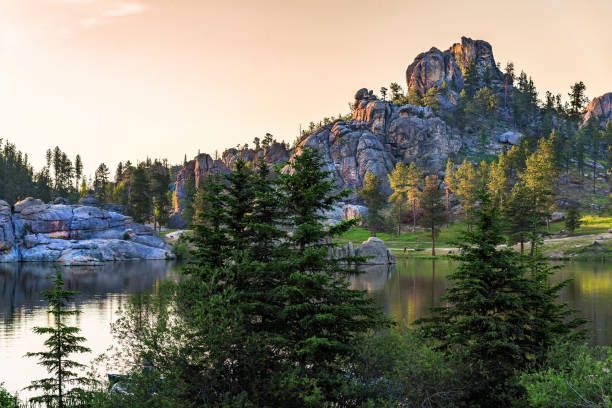 Scenic views of the lake and wilderness at Black Hills Nation Forest