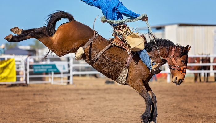 Person intensely riding horse in a rodeo arena on a clear dar