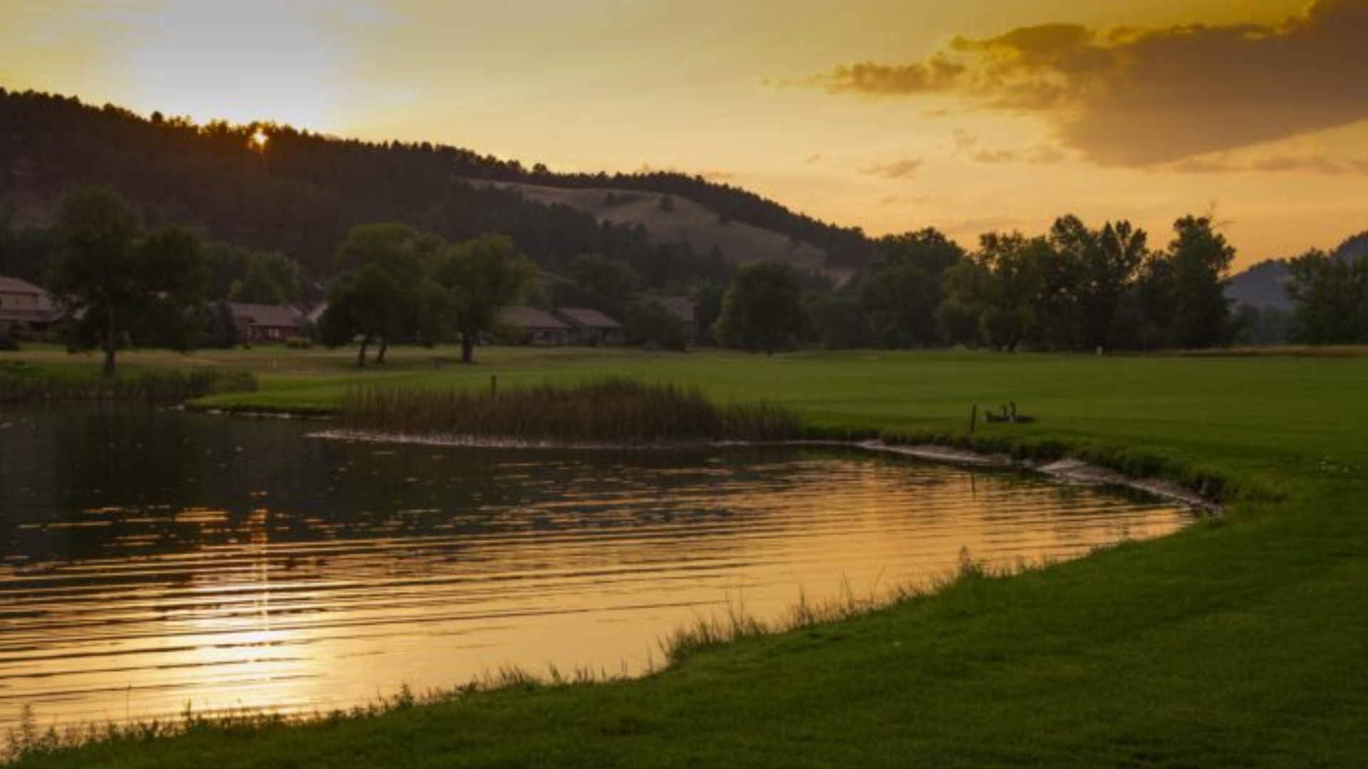 Hart Ranch Golf Course with green fairways overlooking a pond at sunset