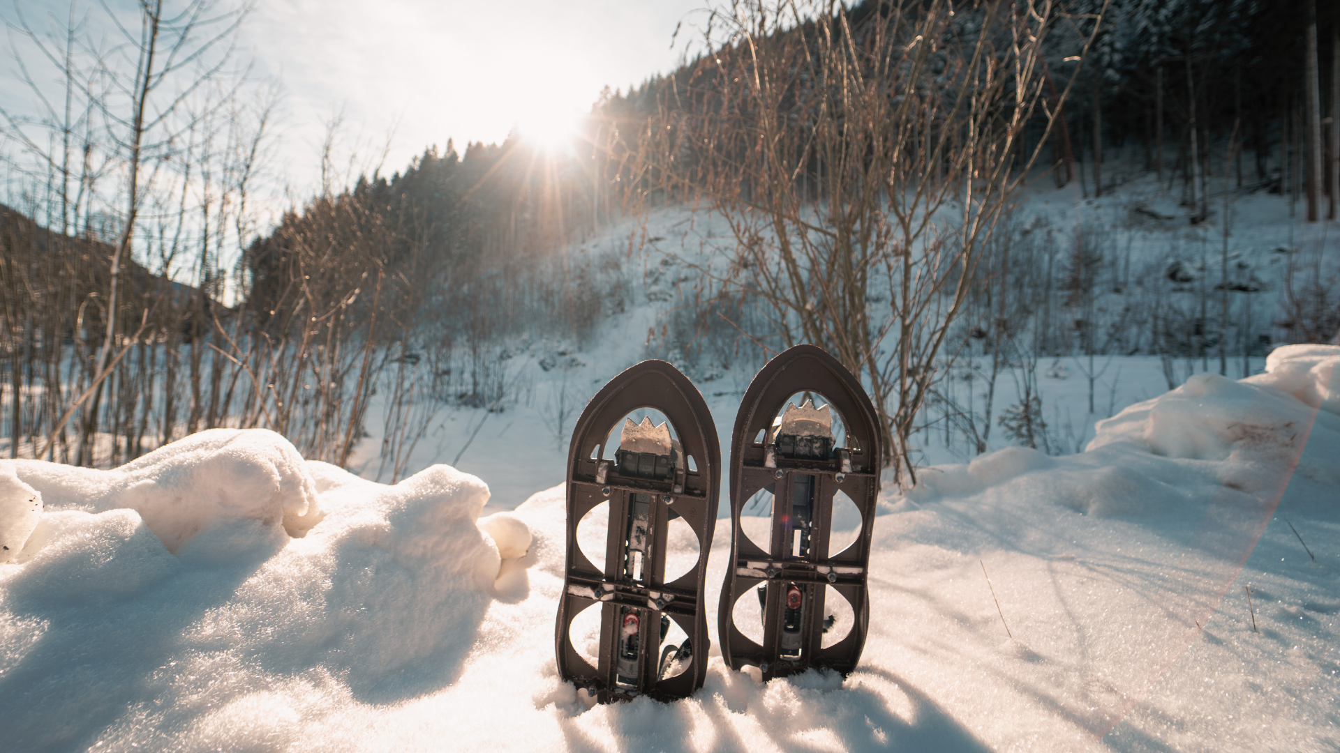 Snowshoes sitting in the snow with hills, trees and shining sun in the background