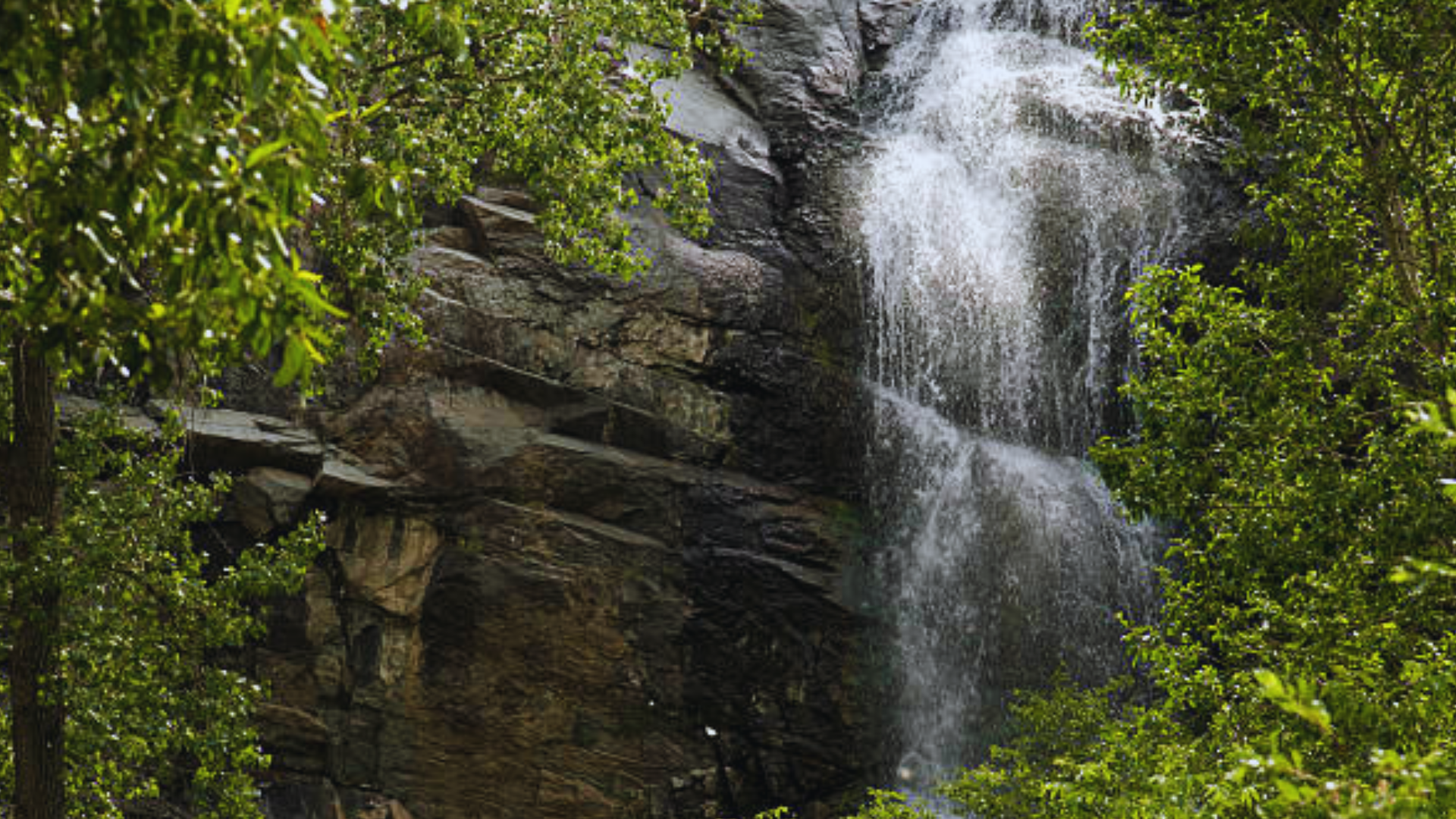 Waterfall in Spearfish Canyon SD surrounded by lush trees