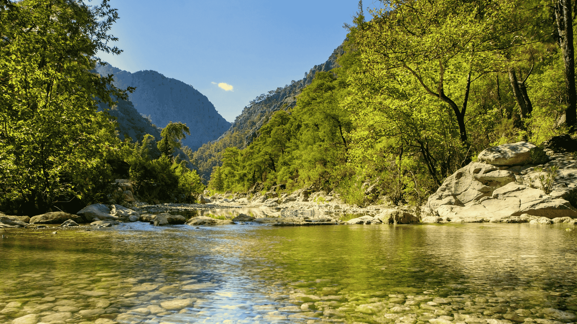 River winding through a mountain valley near the Black Hills of South Dakota