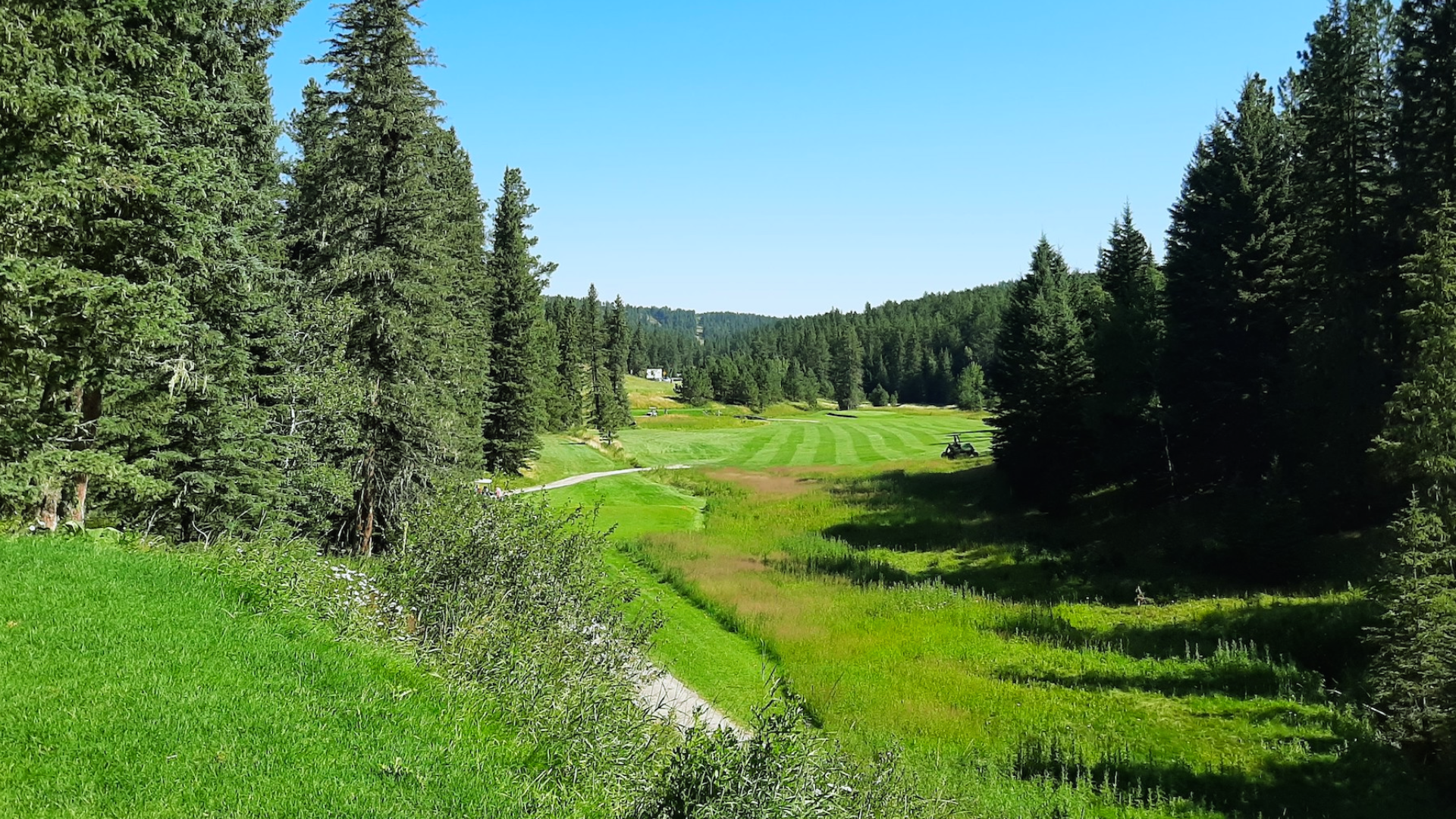 Tomahawk Lake Country Club golf course with a narrow fairway leading to the hole