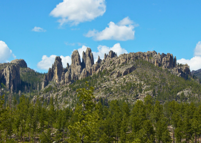 Large rock formations in South Dakota with lush pine trees and blue skies