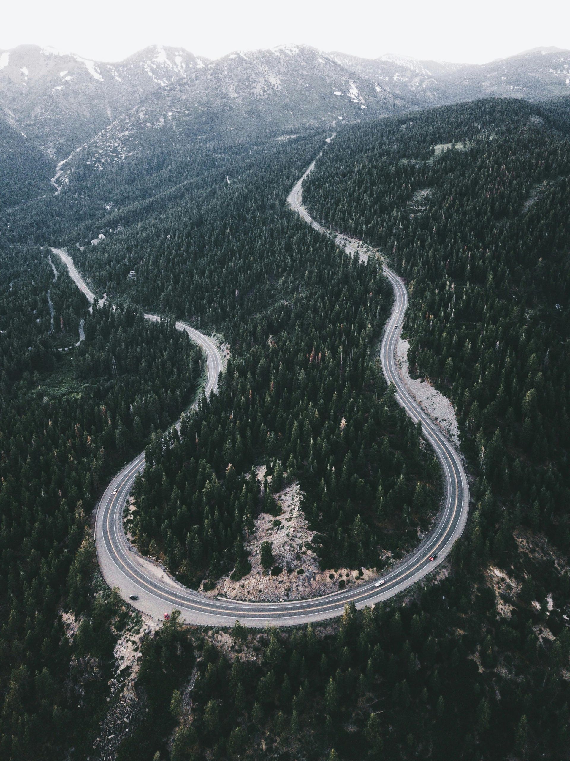 Long, scenic road paved through tall, lush pine trees with snow covered mountains in the back
