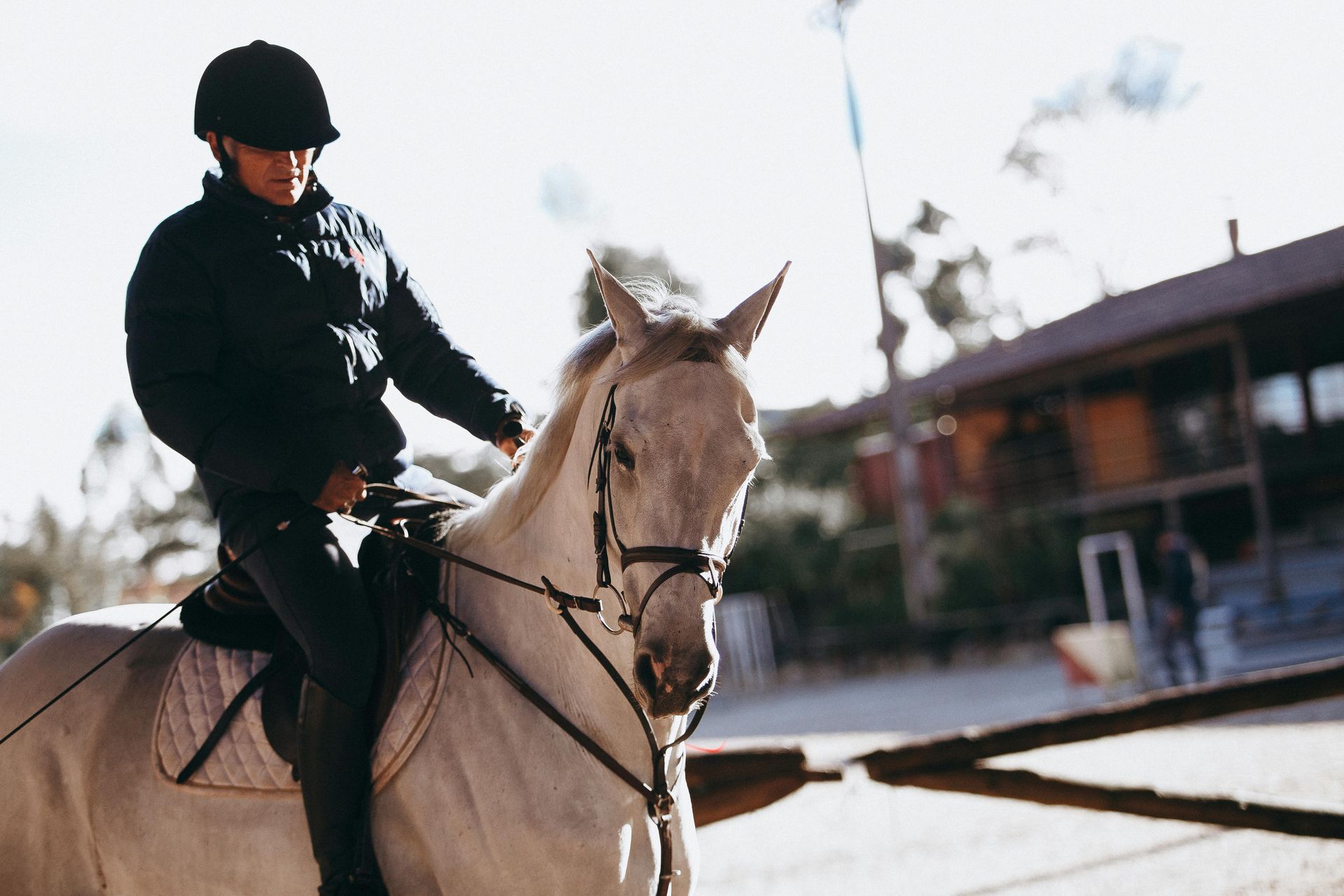 Professional horse rider on horse with riding facility in the background